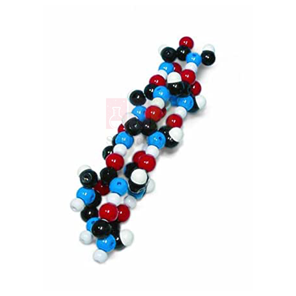 Alpha Helix Molecular Model Kit